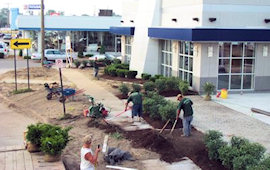 Commercial Landscaping Service