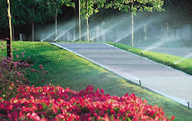 Commercial Landscaping & Sprinklers