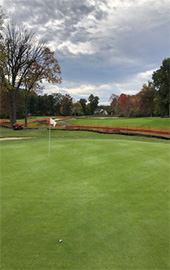 Golf Course Lawn Service